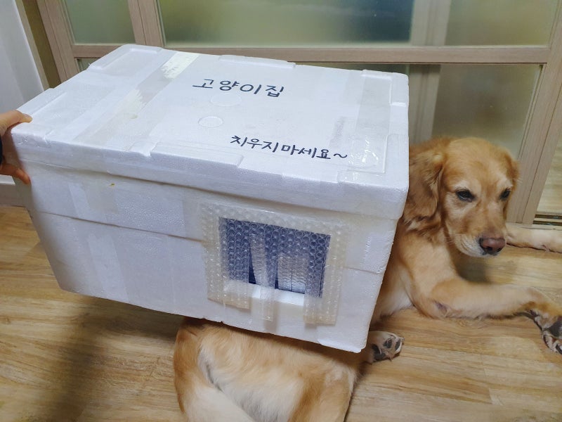 [길냥이 겨울집] 길고양이 겨울집 만들기~!!