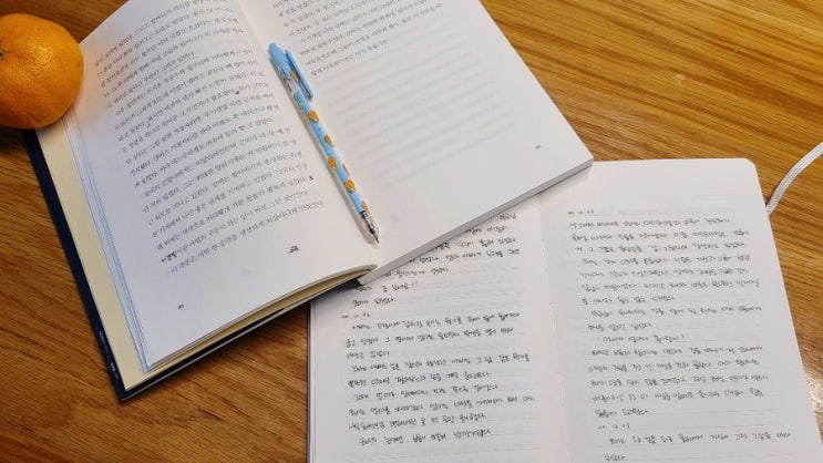 늦게 올리는 아침 필사