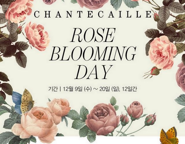  12/9~12/20 : 샹테카이 더블마일리지이벤트,12월 로즈 블루밍데이