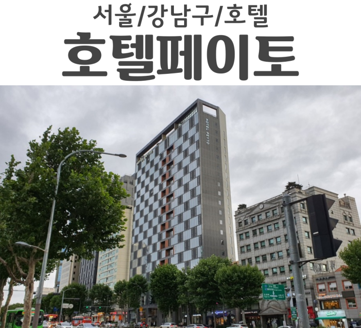 서울 호텔 페이토 강남 저렴한 호텔을 찾을 땐 페이토