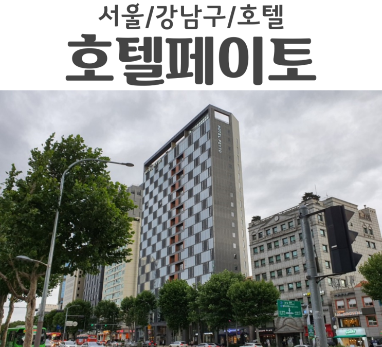  서울 호텔 페이토 강남 저렴한 호텔을 찾을 땐 페이토