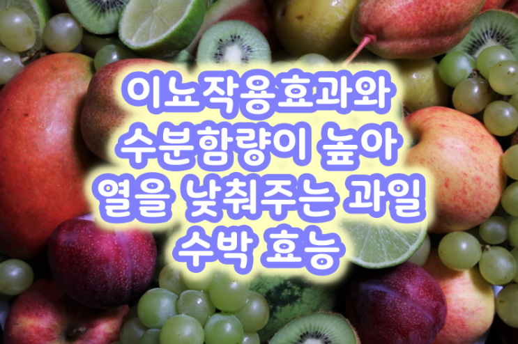  이뇨작용 효과와 수분함량이 높아 열을 낮춰주는 과일 수박 효능