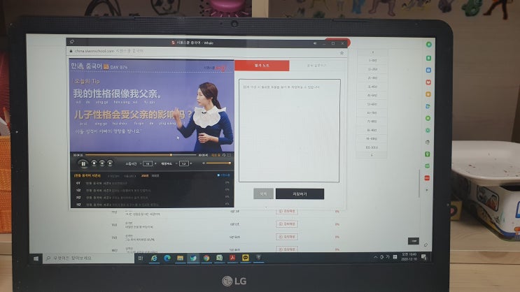 중국어인강 시원스쿨 중국어 체험 소감
