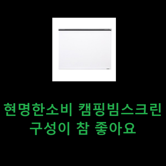 현명한소비 캠핑빔스크린 구성이 참 좋아요