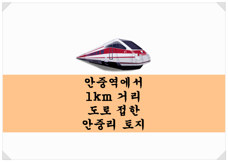  안중역에서 1km 거리. 도로 접한 안중리 토지