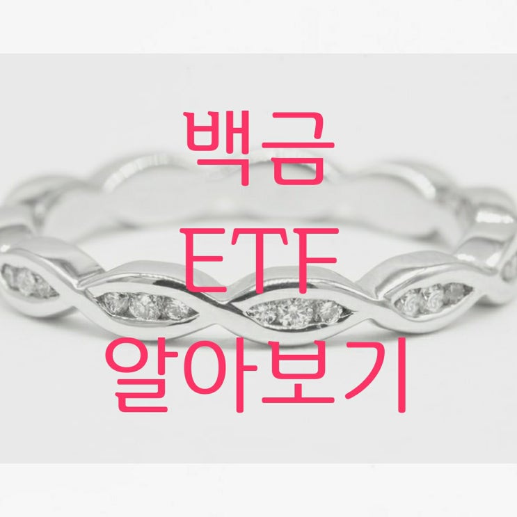  백금 ETF 소개 (PPLT, PLTM, PGM)