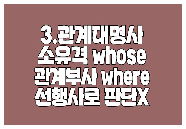 관계대명사 소유격 whose 관계부사 where 예문