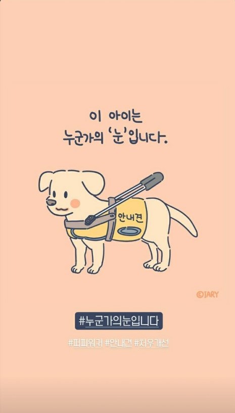 '안내견은 시각장애인의 눈' 처우 개선 우선돼야