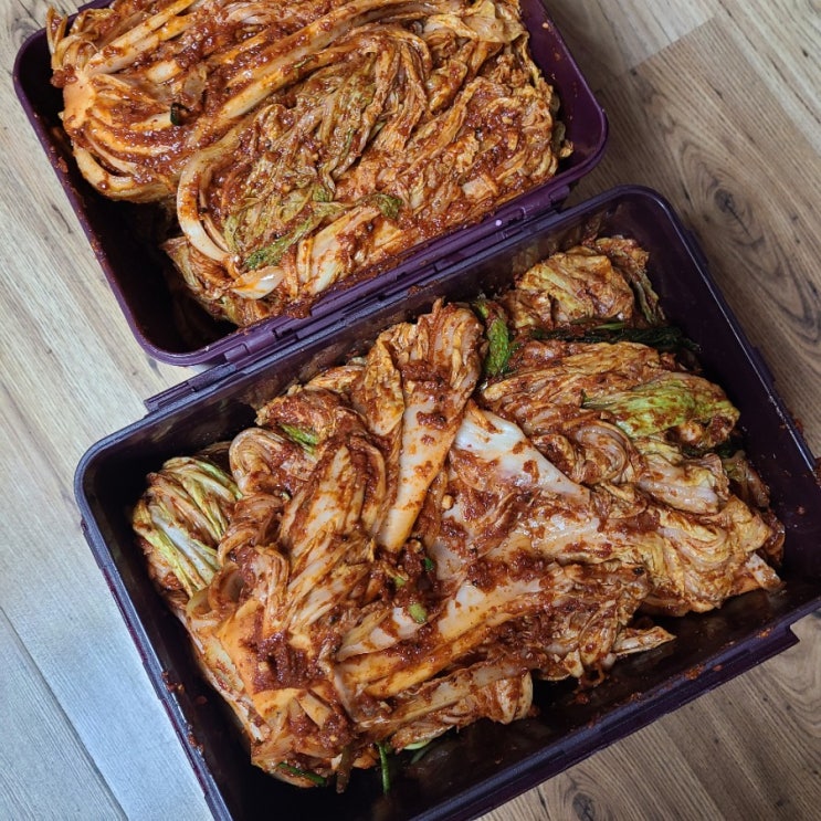  김장김치 나가네해남절임배추20kg 김장 레시피
