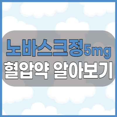 노바스크정5mg 화이자제약의 고혈압약 복용전 주의사항 체크하기
