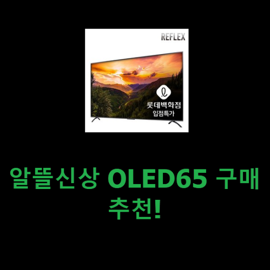 알뜰신상 OLED65 구매 추천!