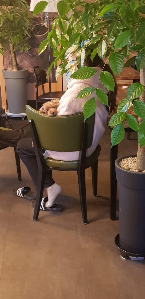  부산우동닭도리탕 추억될 맛나게