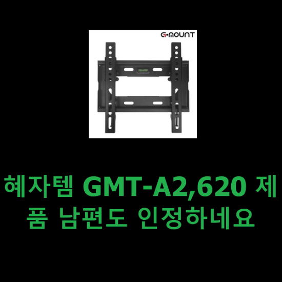 혜자템 GMT-A2,620 제품 남편도 인정하네요