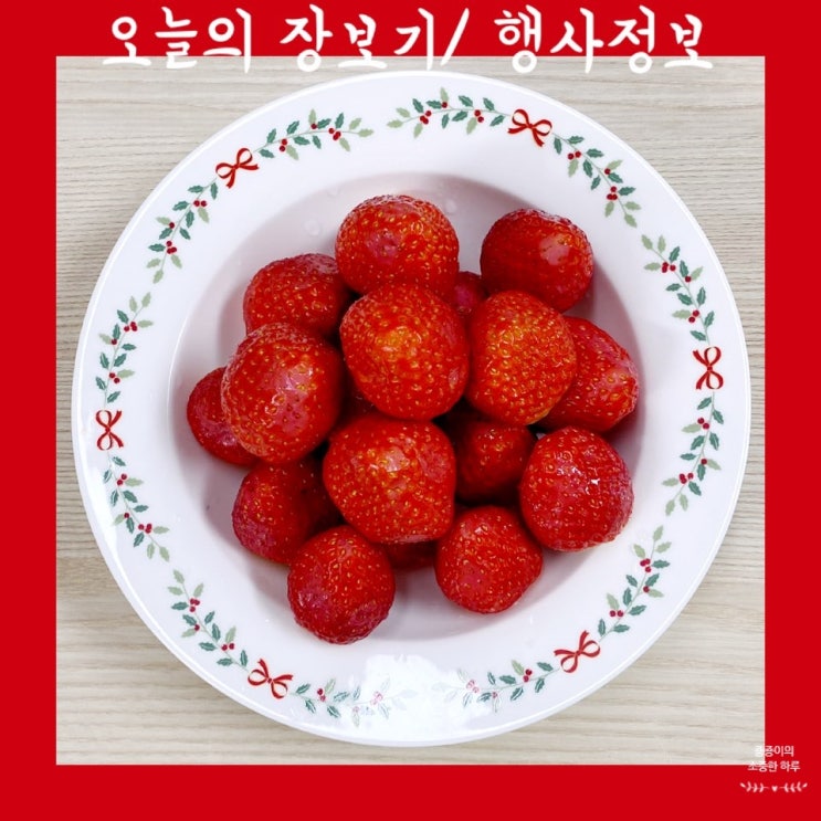  [12.08] 오늘의 장보기 / 이마트 미아점 행사정보
