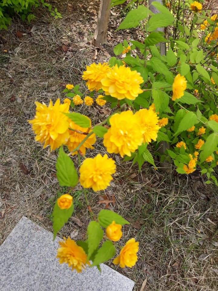  돈 벌었어요!