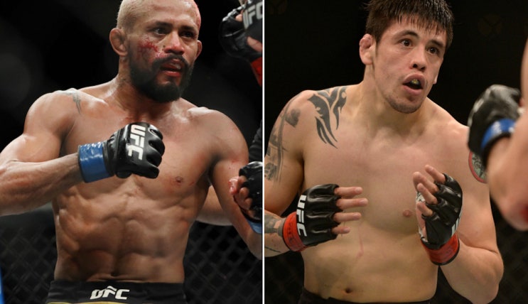 UFC 256 피게이레두 VS 모레노 파이터들 예상 UFC 256 피게이레두 VS 모레노 파이터들 예상