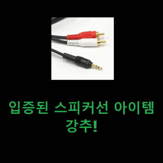 입증된 스피커선 아이템 강추! 입증된 스피커선 아이템 강추!