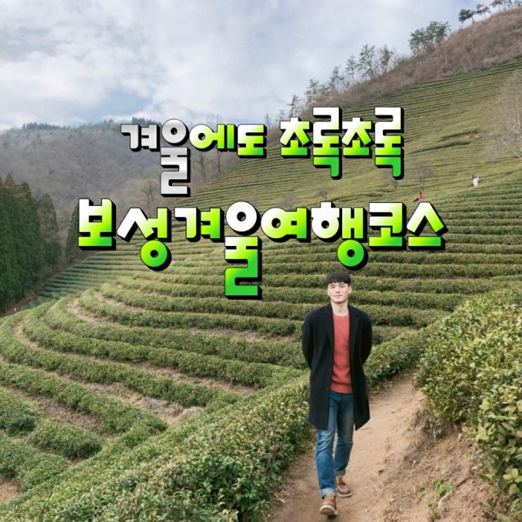  국내여행 전라도여행 데이트코스 추천/녹차향이 느껴지는 보성겨울여행코스