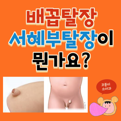  소아 탈장(배꼽 탈장, 서혜부 탈장)이 뭔가요?
