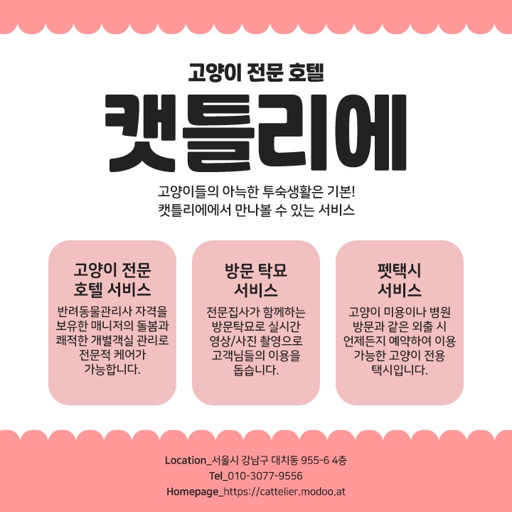 사진 4
