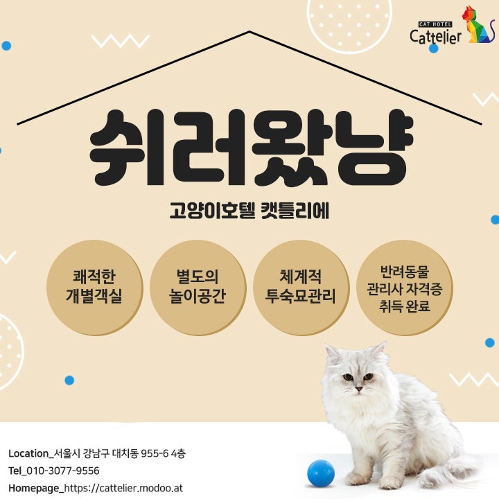 사진 3