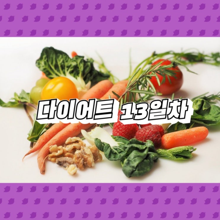  다이어트 13일차