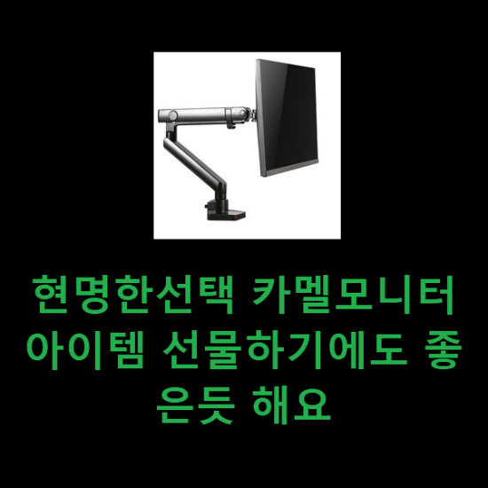 현명한선택 카멜모니터 아이템 선물하기에도 좋은듯 해요 현명한선택 카멜모니터 아이템 선물하기에도 좋은듯 해요