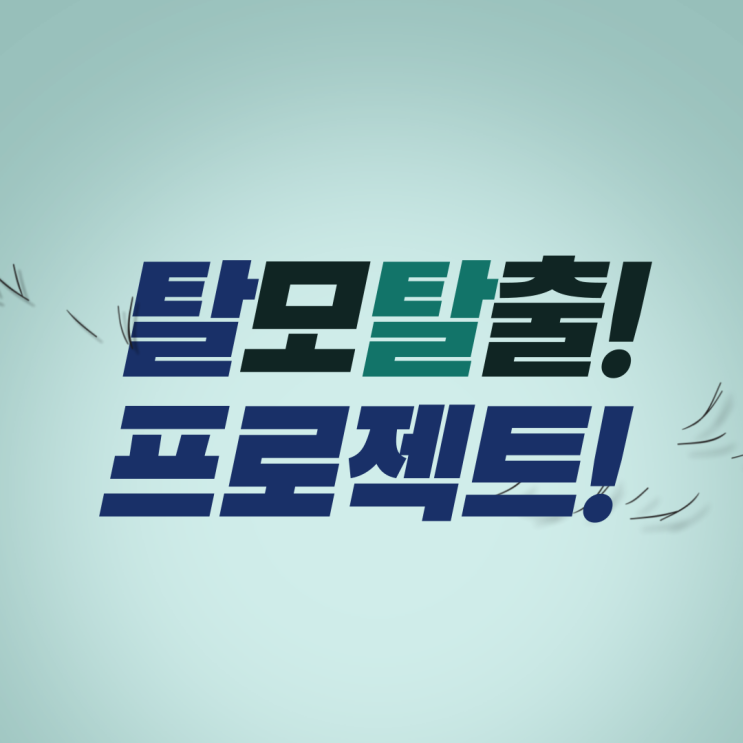  M자탈모약 복용후기 - 머리야 일어나라!