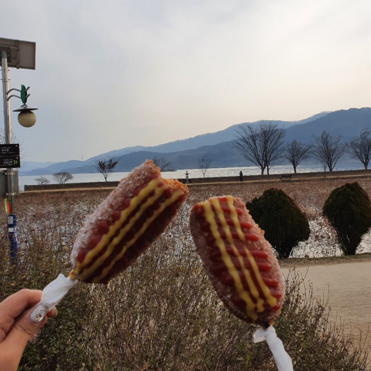  진짜너무먹어보고싶었던 경기도 양평 "두물머리 연 핫도그"