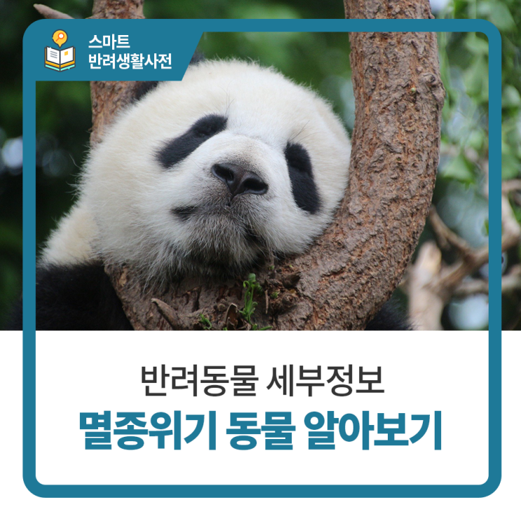  탑케어동물의료원의 멸종위기 동물 알아보기