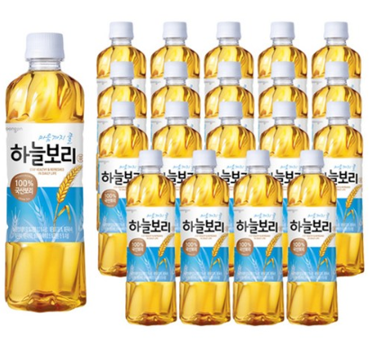  웅진 하늘보리