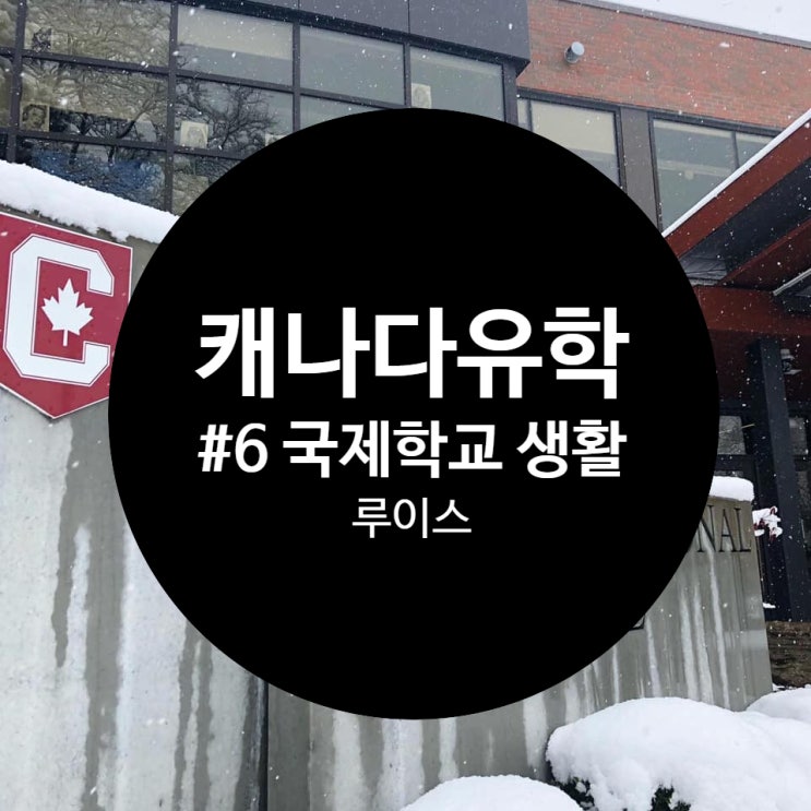  [캐나다유학] #6 해밀턴 CIC 국제학교 생활 경험 후기