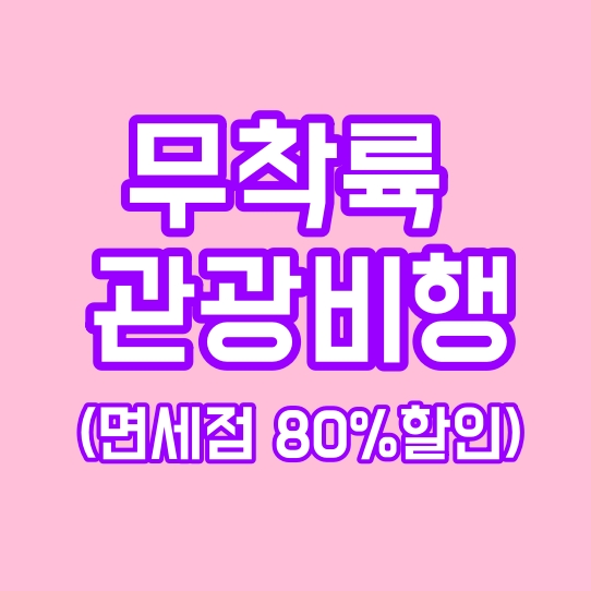  무착륙 국제관광비행, 비행기도 타고 면세점 쇼핑도 하고(아시아나, 제주항공, 에어부산, 에어서울, 진에어,티웨이)