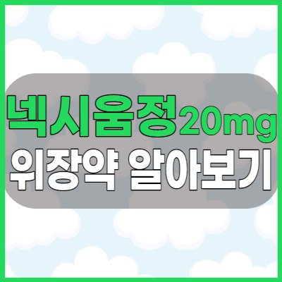  넥시움정20mg 속쓰림, 역류성 식도염을 위한 위장약