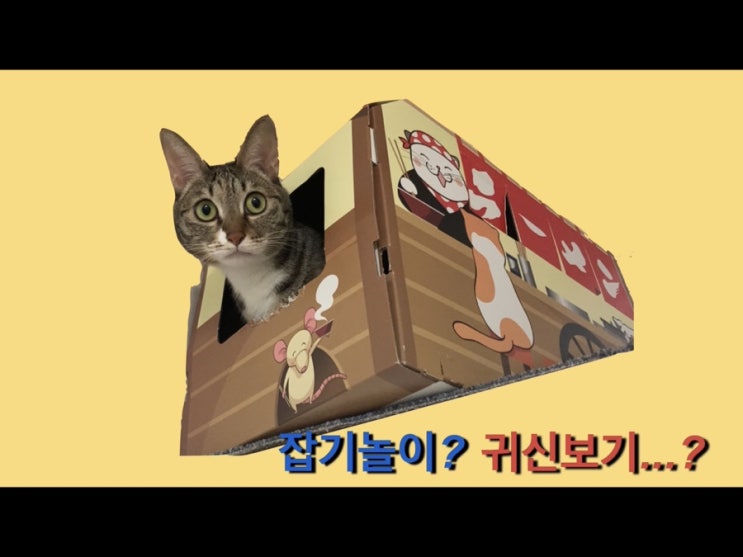 2020.12.10 키키영상 업로드하다..! 2020.12.10 키키영상 업로드하다..!