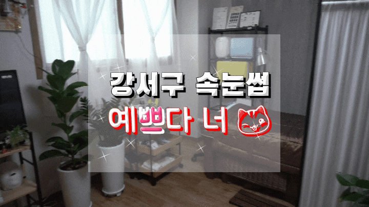 강서구 속눈썹/강서구 속눈썹연장     예쁘다 너에서 속눈썹하고 왔어요~!