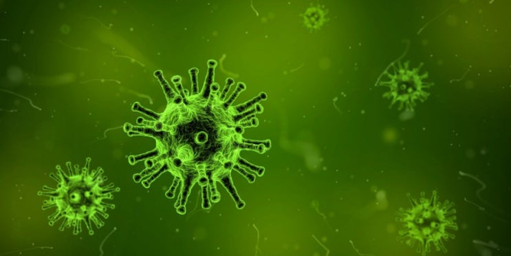  바이러스란 기회감염, 바이러스 진화는 어디까지이고 박멸이 가능한가? |  유니시티코리아 유여림