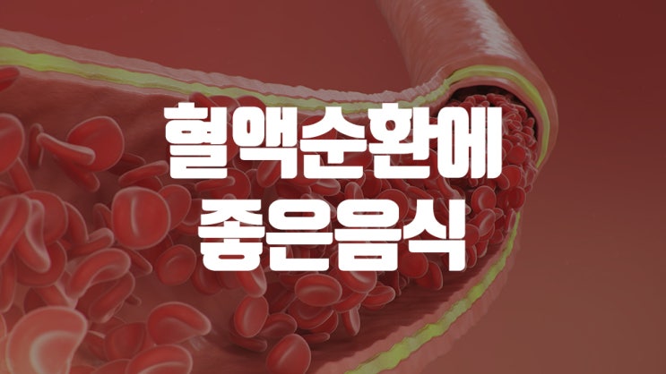  혈액순환에 좋은 음식