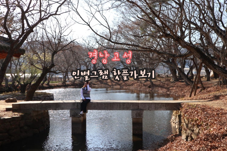  [경남-고성]고성가볼만한곳️송학동고분군️장산숲️통영수산시장