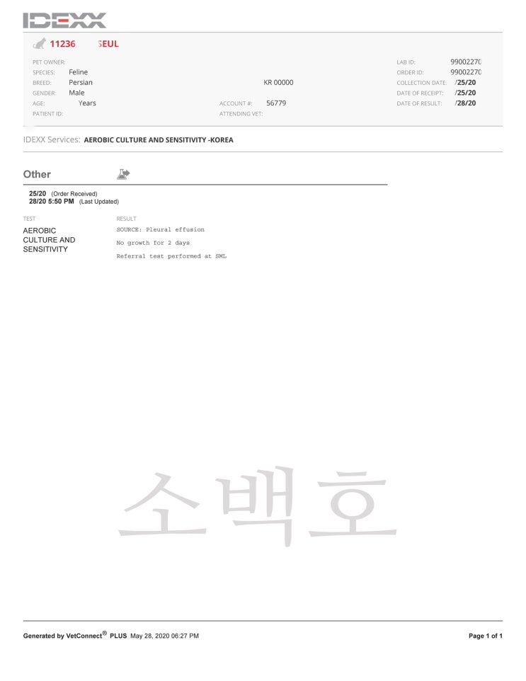  진단으로서의 GS