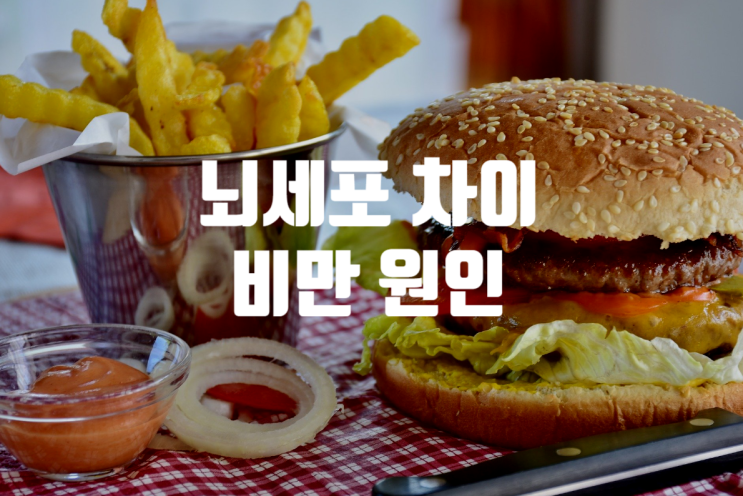  유년기 뇌세포 차이가 비만을 만듦