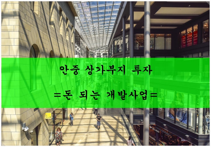  <평택땅 투자>돈 되는 개발사업. 서평택 안중 상가부지 투자!