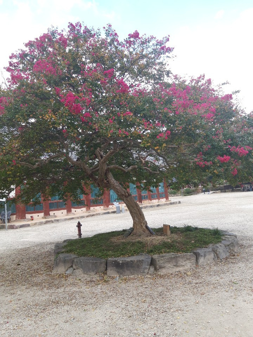  재산을 지켜주는 부동산가처분