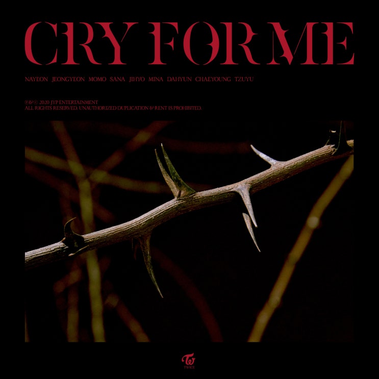 트와이스 신곡 <CRY FOR ME> 12월 18일 발매 트와이스 신곡 <CRY FOR ME> 12월 18일 발매