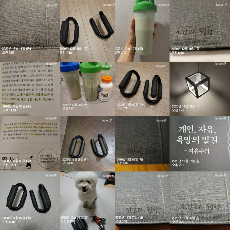 열정과 욕심 사이 (직장인 투자자 주식 매매일지) 열정과 욕심 사이 (직장인 투자자 주식 매매일지)