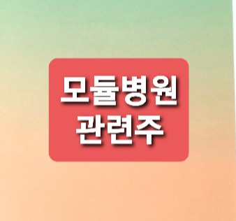 모듈병원 관련주 정리 모듈병원 관련주 정리
