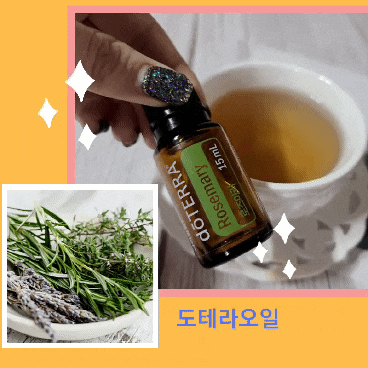 내돈내산 나혼자산다 장우영오일 도테라 로즈마리오일 향기에 취하다 내돈내산 나혼자산다 장우영오일 도테라 로즈마리오일 향기에 취하다