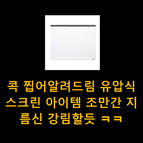 콕 찝어알려드림 유압식스크린 아이템 조만간 지름신 강림할듯 ㅋㅋ