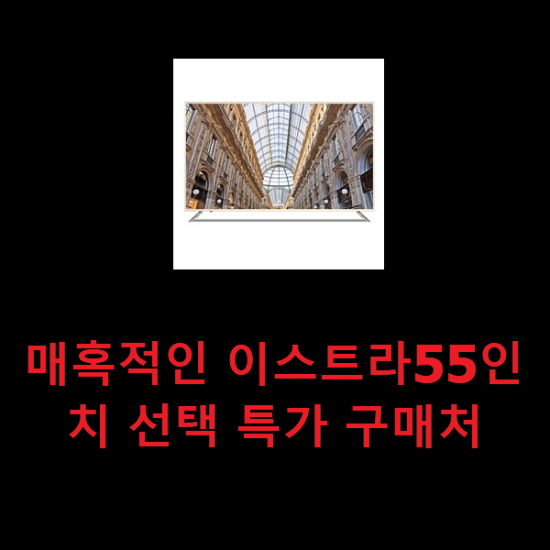 매혹적인 이스트라55인치 선택 특가 구매처