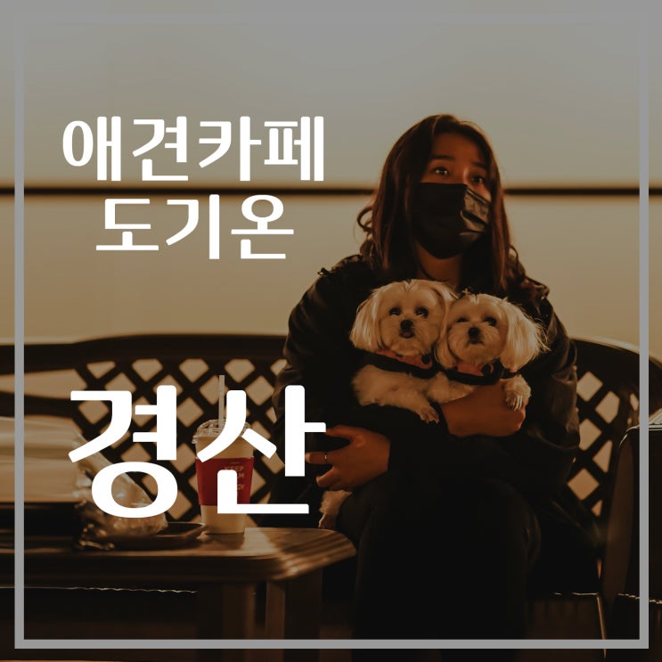  [경산여행] 애견카페 도기온 솔직 후기, 넓은 애견 운동장, 애견 동반 음식점, 경산 애견동반 카페, 반려견, 반려가족, 강아지 말티즈